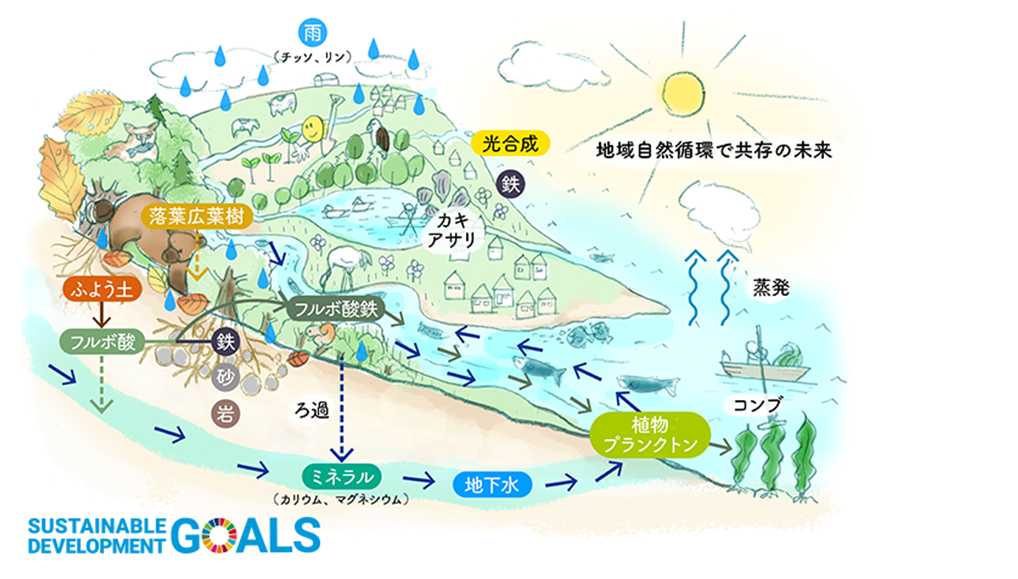 私たちの活動 地域自然循環で共存の未来プロジェクト Npo法人シマフクロウ エイド